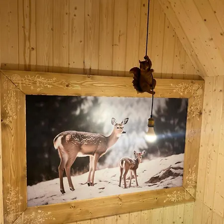 Stylowa Chalet